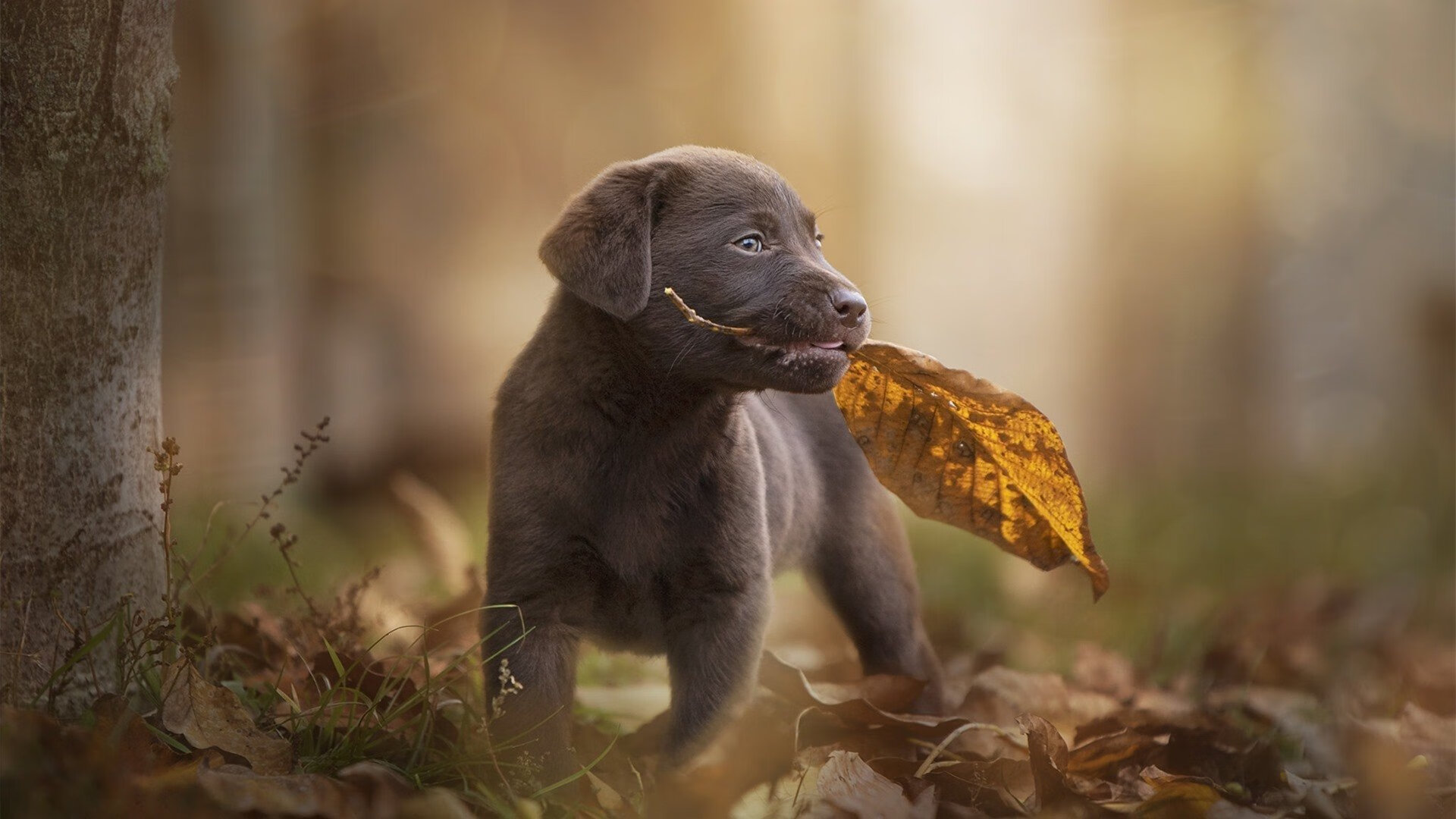 中小学体育改革课堂教学质量提升,中小学体育与健康课程改革